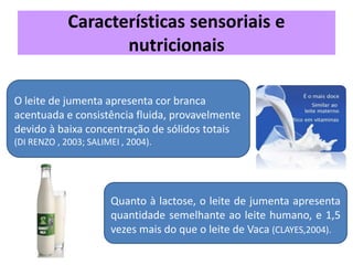 Características sensoriais e
nutricionais
O leite de jumenta apresenta cor branca
acentuada e consistência fluida, provavelmente
devido à baixa concentração de sólidos totais
(DI RENZO , 2003; SALIMEI , 2004).
Quanto à lactose, o leite de jumenta apresenta
quantidade semelhante ao leite humano, e 1,5
vezes mais do que o leite de Vaca (CLAYES,2004).
 