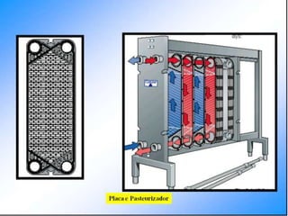Verão na Técnica - Tecnologia de Alimentos - Leite e Lacticínios