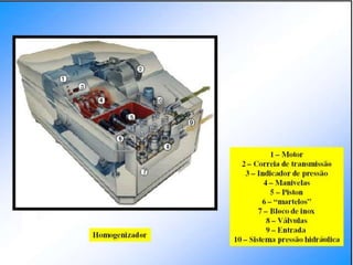 Verão na Técnica - Tecnologia de Alimentos - Leite e Lacticínios