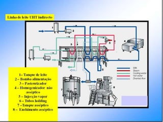 Verão na Técnica - Tecnologia de Alimentos - Leite e Lacticínios