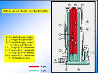 Verão na Técnica - Tecnologia de Alimentos - Leite e Lacticínios