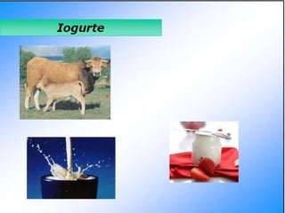 Verão na Técnica - Tecnologia de Alimentos - Leite e Lacticínios