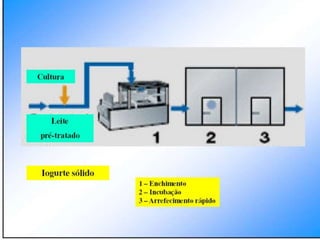 Verão na Técnica - Tecnologia de Alimentos - Leite e Lacticínios