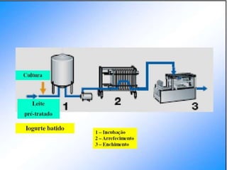 Verão na Técnica - Tecnologia de Alimentos - Leite e Lacticínios