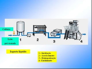 Verão na Técnica - Tecnologia de Alimentos - Leite e Lacticínios