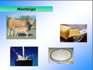 Verão na Técnica - Tecnologia de Alimentos - Leite e Lacticínios