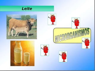 Verão na Técnica - Tecnologia de Alimentos - Leite e Lacticínios