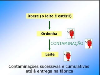 Verão na Técnica - Tecnologia de Alimentos - Leite e Lacticínios