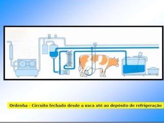 Verão na Técnica - Tecnologia de Alimentos - Leite e Lacticínios