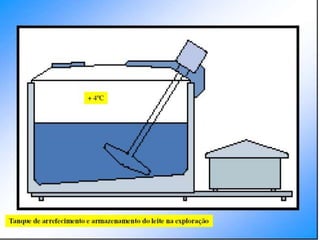 Verão na Técnica - Tecnologia de Alimentos - Leite e Lacticínios