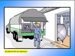 Verão na Técnica - Tecnologia de Alimentos - Leite e Lacticínios