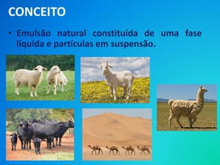 CONCEITO
• Emulsão natural constituída de uma fase
líquida e partículas em suspensão.
 
