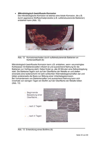    Mikrobiologisch beeinflusste Korrosion
       Die mikrobiologische Korrosion ist ebenso eine lokale Korrosion, die z.B.
       durch aggressive Stoffwechselprodukte (z.B. sulfatreduzierende Bakterien)
       entstehen kann (Abb. 12)




       ____________________________________________________________
       Abb. 12 Korrosionsschaden durch sulfatreduzierende Bakterien an
               Kohlenstoffstahl (6)

Mikrobiologisch beeinflusste Korrosion kann z.B. entstehen, wenn verunreinigtes
Kühlwasser mit Bakterienzellen infiziert ist und ausreichend Nahrung für die
Bakterien zur Verfügung steht. Dabei findet ca. alle 20 Minuten eine Zellverdopplung
statt. Die Bakterien lagern sich auf der Oberfläche der Metalle an und stellen
einerseits eine Isolierschicht mit sehr schlechten Wärmeleiteigenschaften dar und
bilden andererseits die Basis zur Bildung einer Unterbelagskorrosion.
Bei Vorhandensein von Bakterienzellen und ausreichend Nahrung kann sich
innerhalb von wenigen Tagen ein Biofilm auf der Oberfläche der Metalle bilden
(Abb. 13)




       ____________________________________________________________
       Abb. 13 Entwicklung eines Biofilms (6)

                                                                       Seite 33 von 60
 