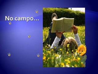 No campo…