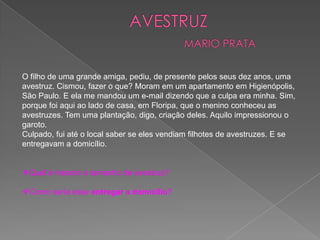 O filho de uma grande amiga, pediu, de presente pelos seus dez anos, uma
avestruz. Cismou, fazer o que? Moram em um apartamento em Higienópolis,
São Paulo. E ela me mandou um e-mail dizendo que a culpa era minha. Sim,
porque foi aqui ao lado de casa, em Floripa, que o menino conheceu as
avestruzes. Tem uma plantação, digo, criação deles. Aquilo impressionou o
garoto.
Culpado, fui até o local saber se eles vendiam filhotes de avestruzes. E se
entregavam a domicílio.
Qual é mesmo o tamanho de avestruz?
Como seria esse entregar a domicílio?
 