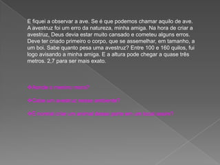E fiquei a observar a ave. Se é que podemos chamar aquilo de ave.
A avestruz foi um erro da natureza, minha amiga. Na hora de criar a
avestruz, Deus devia estar muito cansado e cometeu alguns erros.
Deve ter criado primeiro o corpo, que se assemelhar, em tamanho, a
um boi. Sabe quanto pesa uma avestruz? Entre 100 e 160 quilos, fui
logo avisando a minha amiga. E a altura pode chegar a quase três
metros. 2,7 para ser mais exato.
Aonde o menino mora?
Cabe um avestruz nesse ambiente?
É normal criar um animal desse porte em um local assim?
 