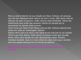 Mas eu estava falando da sua criação por Deus. Colocou um pescoço
que não tem absolutamente nada a ver com o corpo. Não devia mais ter
estoque de asas no paraíso, então colocou asas atrofiadas. Talvez até
sabiamente para evitar que saíssem voando em bandos por aí
assustando as demais aves normais.
Outro coisa que faltou foram dedos para ao pés. Colocou apenas dois
dedos em cada pé. Sacanagem, Senhor!
Depois olhou para sua obra e não sabia se era uma ave ou um camelo.
Tanto é que logo depois, Adão dando os nomes a tudo que via pela
frente, olhou para aquele ser meio abominável e disse: Struthio
Camelus Australis. Que é o nome oficial da coisa. Acho que o struthio
deve ser aquele pescoço fino em forma de salsicha.
Porque ele comparou o animal a uma salsicha?Como é uma
salsicha?
 
