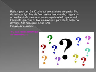 Podem gerar de 10 a 30 crias por ano, expliquei ao garoto, filho
da minha amiga. Pois ele ficou mais animado ainda, imaginando
aquele bando de avestruzes correndo pela sala do apartamento.
Ele insiste, quer que eu leve uma avestruz para ele de avião, no
domingo. Não sabia mais o que fazer.
Foi quando descobri...
O que vocês acham que
ele descobriu ??
 