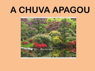 A CHUVA APAGOU
 