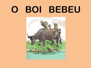 O BOI BEBEU
 
