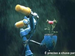 É preciso a chuva para florir