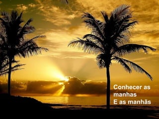 Conhecer as manhasE as manhãs