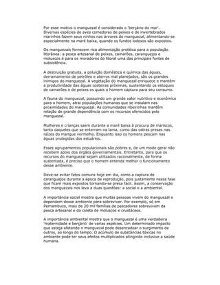 Por esse motivo o manguezal é considerado o 'berçário do mar'.
Diversas espécies de aves comedoras de peixes e de invertebrados
marinhos fazem seus ninhos nas árvores do manguezal, alimentando-se
especialmente na maré baixa, quando os fundos lodosos são expostos.

Os manguezais fornecem rica alimentação protéica para a população
litorânea: a pesca artesanal de peixes, camarões, caranguejos e
moluscos é para os moradores do litoral uma das principais fontes de
subsistência.

A destruição gratuita, a poluição doméstica e química das águas,
derramamento de petróleo e aterros mal planejados, são os grandes
inimigos do manguezal. A vegetação do manguezal enriquece e mantém
a produtividade das águas costeiras próximas, sustentando os estoques
de camarões e de peixes os quais o homem captura para seu consumo.

A fauna do manguezal, possuindo um grande valor nutritivo e econômico
para o homem, atrai populações humanas que se instalam nas
proximidades do manguezal. As comunidades ribeirinhas mantêm
relação de grande dependência com os recursos oferecidos pelo
manguezal.

Mulheres e crianças saem durante a maré baixa à procura de mariscos,
tanto daqueles que se enterram na lama, como das ostras presas nas
raízes do mangue vermelho. Enquanto isso os homens pescam nas
águas protegidas dos estuários.

Esses agrupamentos populacionais são pobres e, de um modo geral não
recebem apoio dos órgãos governamentais. Entretanto, para que os
recursos do manguezal sejam utilizados racionalmente, de forma
sustentada, é preciso que o homem entenda melhor o funcionamento
desse ambiente.

Deve-se evitar fatos comuns hoje em dia, como a captura de
caranguejos durante a época de reprodução, pois justamente nessa fase
que ficam mais expostos tornando-se presa fácil. Assim, a conservação
dos manguezais nos leva a duas questões: a social e a ambiental.

A importância social mostra que muitas pessoas vivem do manguezal e
dependem desse ambiente para sobreviver. Por exemplo, só em
Pernambuco, mais de 20 mil famílias de pescadores sobrevivem da
pesca artesanal e da coleta de moluscos e crustáceos.

A importância ambiental mostra que o manguezal é uma verdadeira
'maternidade e berçário' de várias espécies. Um determinado impacto
que esteja afetando o manguezal pode desencadear o surgimento de
outros, ao longo do tempo. O acúmulo de substâncias tóxicas no
ambiente pode ter seus efeitos multiplicados atingindo inclusive a saúde
humana.
 