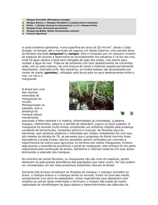 Mangue Vermelho (Rhizophora mangle)
   Mangue Branco ou Mangue-Verdadeiro (Languncularia racemosa)
   Síriba, ou Siriúba (Avicennia schaueriana) também Mangue-Preto.
   Mangue-Preto (Avicennia germinans)
   Mangue-de-Botão, Bolota (Comacarpus erectus)
   Praturá (Spartina)




A costa brasileira apresenta, numa superfície de cerca de 20 mil km2, desde o Cabo
Orange, no Amapá, até o município de Laguna, em Santa Catarina, uma estreita faixa
de floresta chamada manguezal ou mangue. Este é composto por um pequeno número
de espécies de árvores e desenvolve-se principalmente nos estuários e na foz dos rios,
onde há água salobra e local semi-abrigado da ação das ondas, mas aberto para
receber a água do mar. Trata-se de ambiente com bom abastecimento de nutrientes,
onde, sob os solos lodosos, há uma textura de raízes e material vegetal parcialmente
decomposto, chamado turfa. Nos estuários, os fundos lodosos são atravessados por
canais de marés (gamboas), utilizados pela fauna para os seus deslocamentos entre o
mar, os rios e o
manguezal.



O Brasil tem uma
das maiores
extensões de
manguezais do
mundo.
Menosprezado no
passado, pois a
presença do
mangue estava
intimamente
associada à febre amarela e à malária, enfermidades já controladas, a palavra
mangue, infelizmente, adquiriu o sentido de desordem, sujeira ou local suspeito. O
manguezal foi durante muito tempo considerado um ambiente inóspito pela presença
constante de borrachudos, mosquitos pólvora e mutucas. As florestas escuras,
barrentas, sem atrativos estéticos e infectadas por insetos molestantes fez com que,
até meados da década de 70, se pensasse que o progresso do litoral marinho fosse
equivalente a praias limpas, aterros saneados, portos confinados por concreto e
experimentos de cultivo para aproveitar os terrenos dos velhos manguezais. Embora
seja grande a importância econômica e social do manguezal, este enfoque foi em parte
responsável pela construção de portos, balneários e rodovias costeiras em suas áreas,
diminuindo a extensão dos mangues.

Ao contrário de outras florestas, os manguezais não são ricos em espécies, porém
destacam-se pela grande abundância das populações que neles vivem. Por isso podem
ser considerados um dos mais produtivos ambientes naturais do Brasil.

Somente três árvores constituem as florestas de mangue: o mangue vermelho ou
bravo, o mangue branco e o mangue seriba ou seriuba. Vivem na zona das marés,
apresentando uma série de adaptações: raízes respiratórias (que abastecem com
oxigênio as outras raízes enterradas e diminuem o impacto das ondas da maré),
capacidade de ultrafiltragem da água salobra e desenvolvimento das plântulas na
 