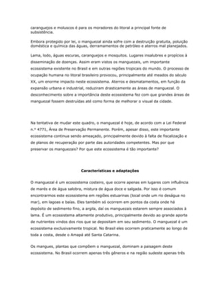 caranguejos e moluscos é para os moradores do litoral a principal fonte de
subsistência.

Embora protegido por lei, o manguezal ainda sofre com a destruição gratuita, poluição
doméstica e química das águas, derramamentos de petróleo e aterros mal planejados.

Lama, lodo, águas escuras, caranguejos e mosquitos. Lugares insalubres e propícios à
disseminação de doenças. Assim eram vistos os manguezais, um importante
ecossistema existente no Brasil e em outras regiões tropicais do mundo. O processo de
ocupação humana no litoral brasileiro provocou, principalmente até meados do século
XX, um enorme impacto neste ecossistema. Aterros e desmatamentos, em função da
expansão urbana e industrial, reduziram drasticamente as áreas de manguezal. O
desconhecimento sobre a importância deste ecossistema fez com que grandes áreas de
manguezal fossem destruídas até como forma de melhorar o visual da cidade.




Na tentativa de mudar este quadro, o manguezal é hoje, de acordo com a Lei Federal
n.º 4771, Área de Preservação Permanente. Porém, apesar disso, este importante
ecossistema continua sendo ameaçado, principalmente devido à falta de fiscalização e
de planos de recuperação por parte das autoridades competentes. Mas por que
preservar os manguezais? Por que este ecossistema é tão importante?




                           Características e adaptações


O manguezal é um ecossistema costeiro, que ocorre apenas em lugares com influência
de marés e de água salobra, mistura de água doce e salgada. Por isso é comum
encontrarmos este ecossistema em regiões estuarinas (local onde um rio deságua no
mar), em lagoas e baías. Eles também só ocorrem em pontos da costa onde há
depósito de sedimento fino, a argila, daí os manguezais estarem sempre associados à
lama. É um ecossistema altamente produtivo, principalmente devido ao grande aporte
de nutrientes vindos dos rios que se depositam em seu sedimento. O manguezal é um
ecossistema exclusivamente tropical. No Brasil eles ocorrem praticamente ao longo de
toda a costa, desde o Amapá até Santa Catarina.


Os mangues, plantas que compõem o manguezal, dominam a paisagem deste
ecossistema. No Brasil ocorrem apenas três gêneros e na região sudeste apenas três
 