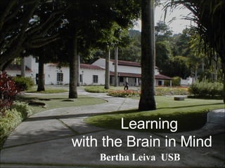 Learning  with the Brain in Mind Bertha Leiva  USB 
