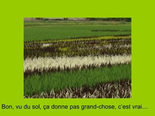 Bon, vu du sol, ça donne pas grand-chose, c’est vrai… 