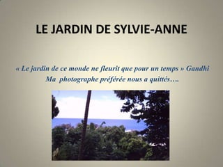 LE JARDIN DE SYLVIE-ANNE
« Le jardin de ce monde ne fleurit que pour un temps » Gandhi
Ma photographe préférée nous a quittés….
 