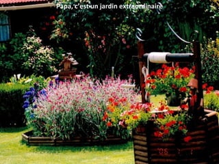 Papa, c’est un jardin extraordinaire
 