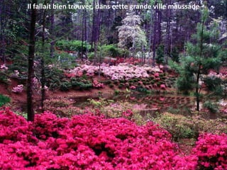 Il fallait bien trouver, dans cette grande ville maussade
 
