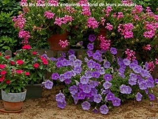 Où les touristes s’ennuient au fond de leurs autocars
 