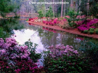 C’est un jardin extraordinaire
 