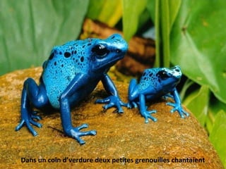 Dans un coin d’verdure deux petites grenouilles chantaient
 