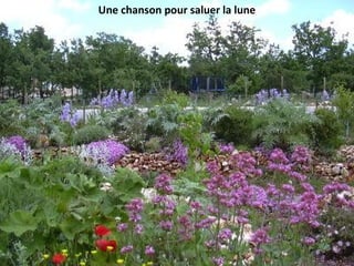 Une chanson pour saluer la lune
 