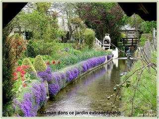 Maman dans ce jardin extraordinaire
 