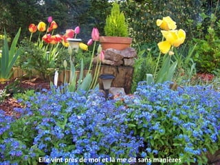 Elle vint près de moi et là me dit sans manières
 