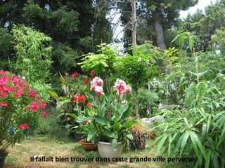 Il fallait bien trouver dans cette grande ville perverse
 