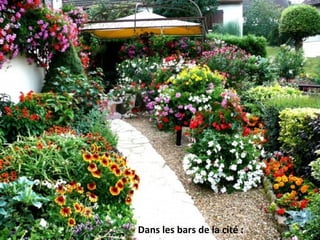 Dans les bars de la cité :
 