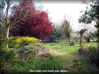 Oui mais oui mais pas dans...
 