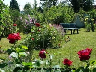 Dans dans dans mon jardin extraordinaire
 