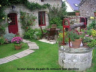 Je leur donne du pain ils remuent leur derrière
 