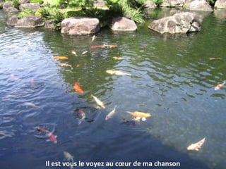 Il est vous le voyez au cœur de ma chanson
 