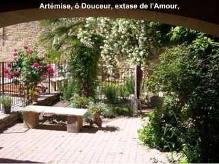 Artémise, ô Douceur, extase de l'Amour,
 