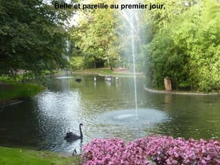 Belle et pareille au premier jour,
 