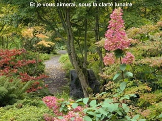 Et je vous aimerai, sous la clarté lunaire
 