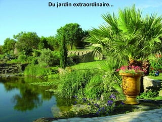 Du jardin extraordinaire...
 